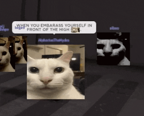 Random media